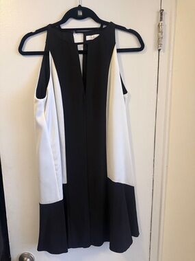 Parker Sleeveless Black and White Colorblock Mini Dress